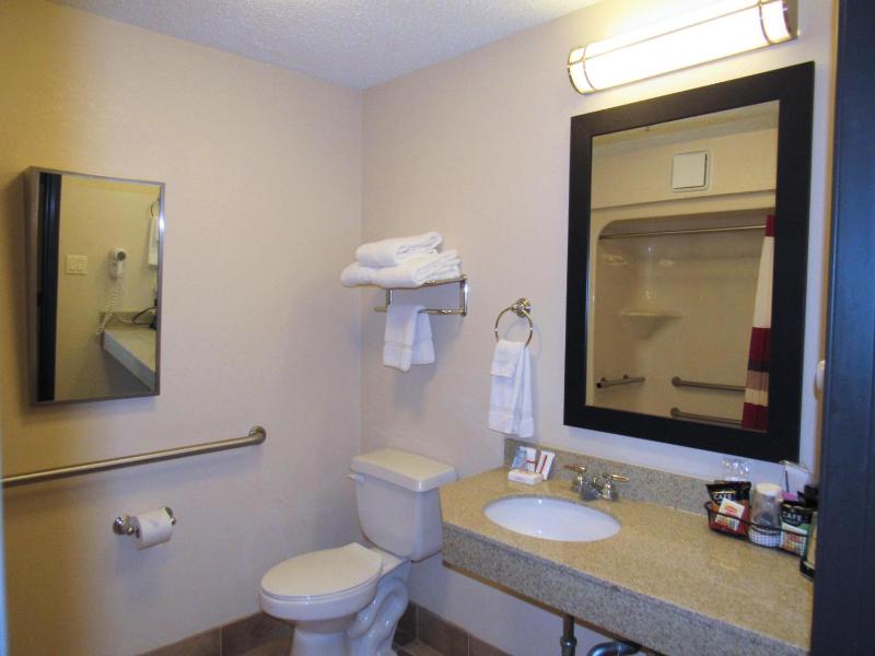 Deluxe Queen Room Disability Access Roll-In Shower Non-Smoking image 2