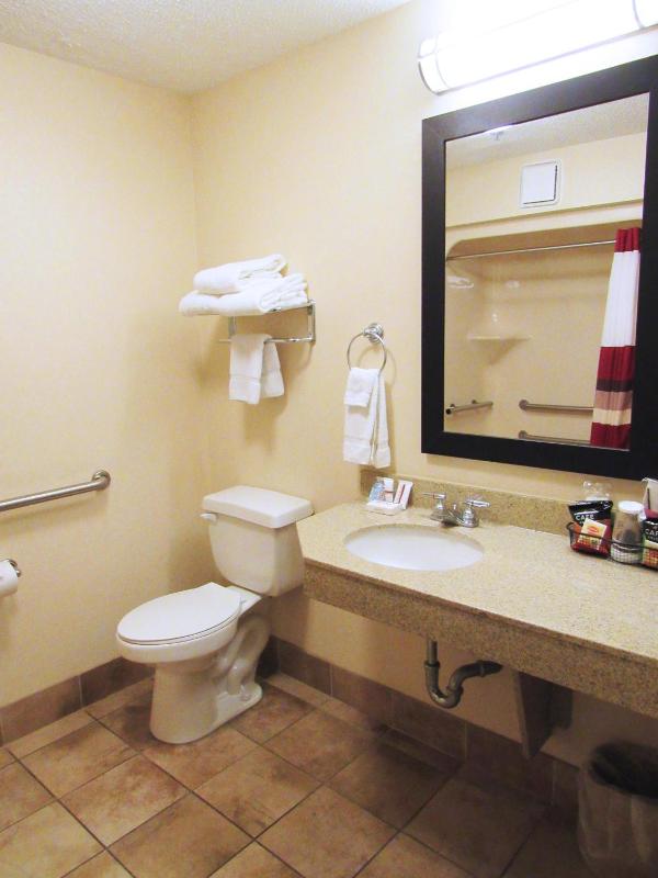 Deluxe Queen Room Disability Access Non-Smoking image 4
