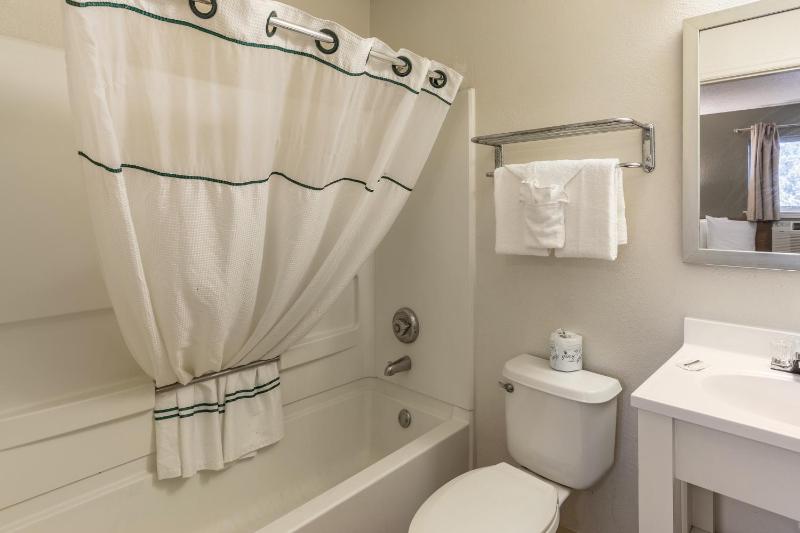Studio Room with Two Double Beds Non-Smoking image 3