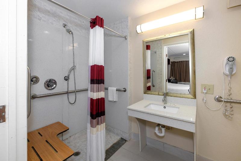 Standard King Room Disability Access Roll-ln Shower Non-Smoking image 3