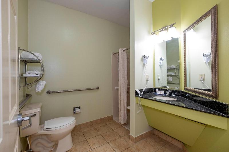 Suite Queen Room - Disability Access with Roll - In Shower - Non-Smoking image 3