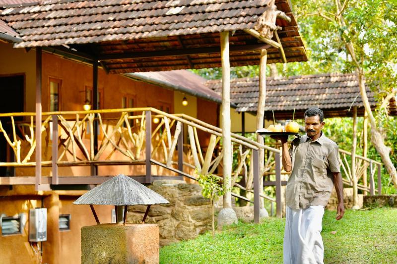 Beyond Eco Living - image 34