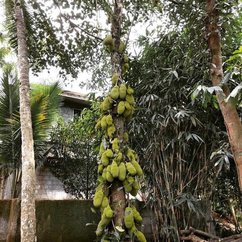 Beyond Eco Living - image 20