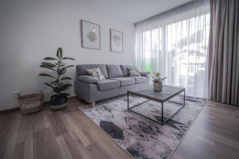 One-Bedroom Apartment image 3