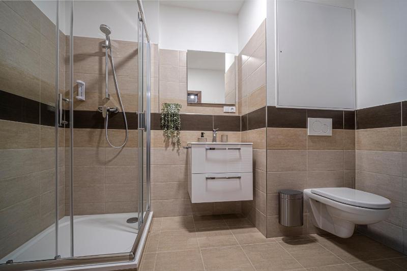 One-Bedroom Apartment image 4