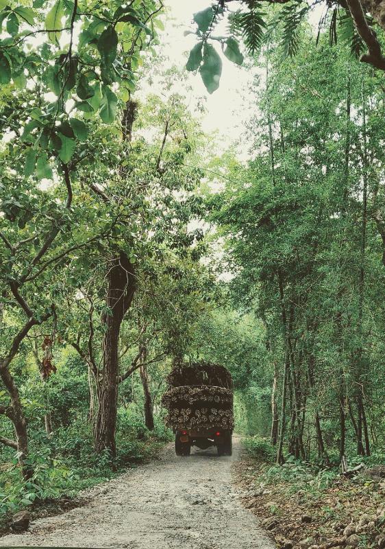 Beyond Eco Living - image 37