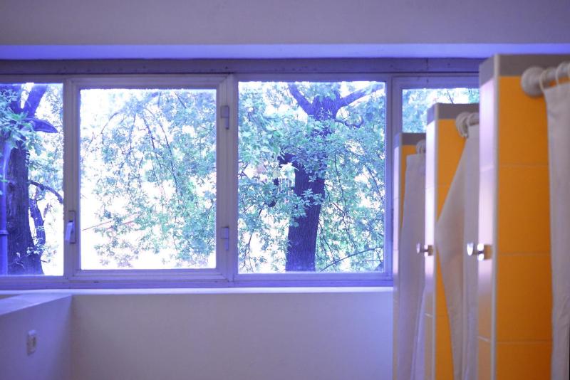 Bed in 6-Bed Male Dormitory Room image 3