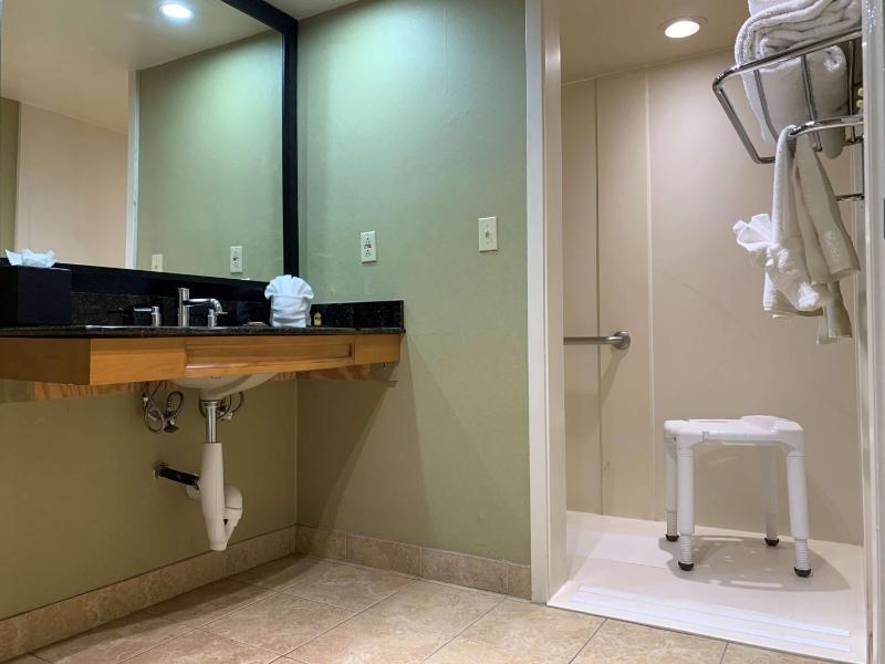 Best Western Plus Las Brisas Hotel - image 9