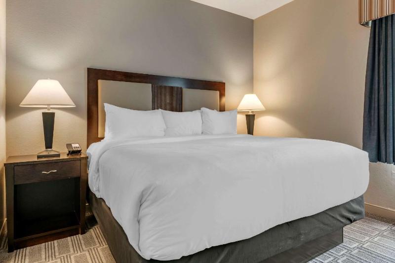 King Suite with Sofa Bed - Non-Smoking image 3
