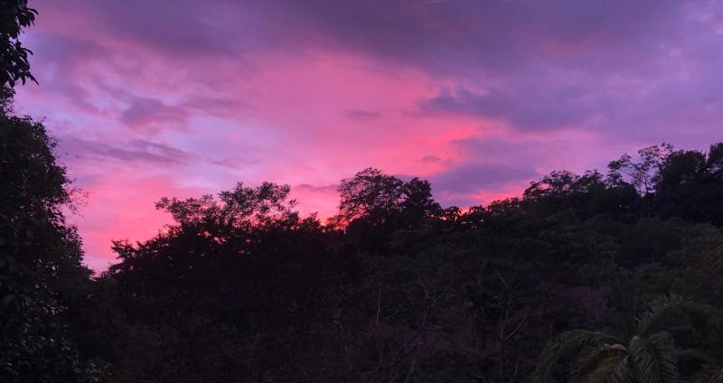 Rio Tico Safari Lodge - image 3