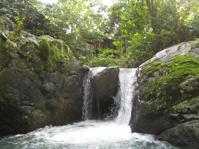 Rio Tico Safari Lodge - image 13
