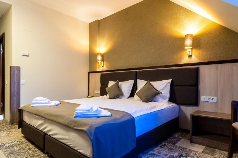 Deluxe Double or Twin Room with River View image 4