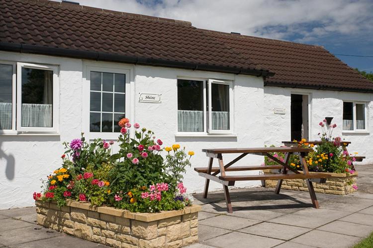 Two-Bedroom Cottage with Garden View image 2