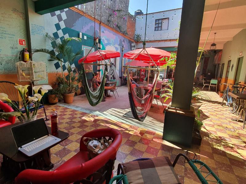 Hierba De Conejo Hostel - image 2