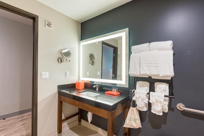 Deluxe King ADA (Rolling Shower) image 4