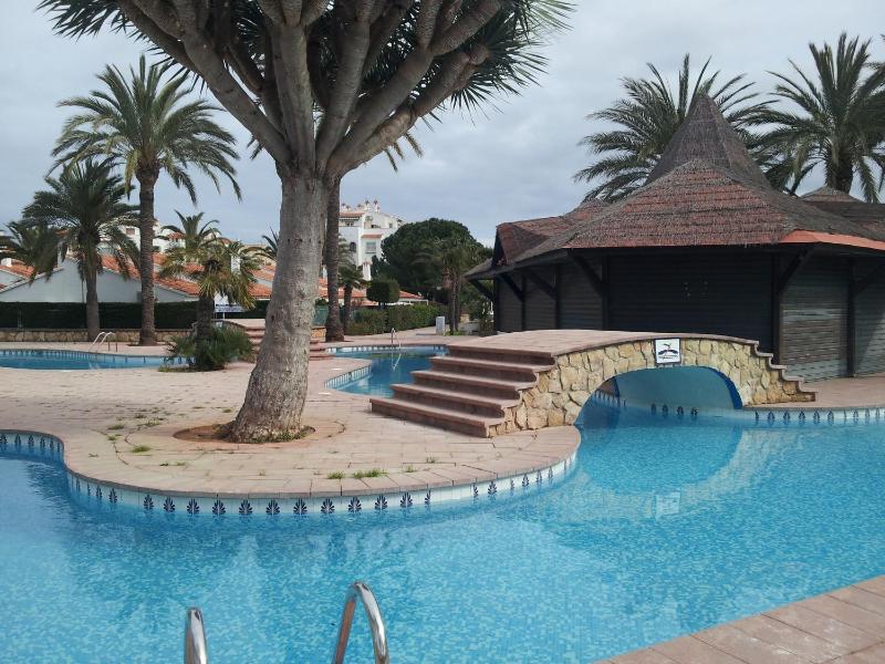 El Palmar - image 20