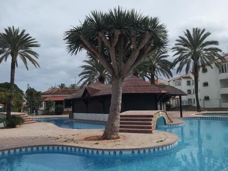 El Palmar - image 25