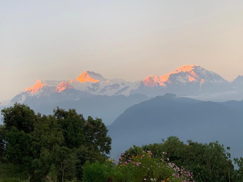 Hotel Pristine Himalaya - image 15