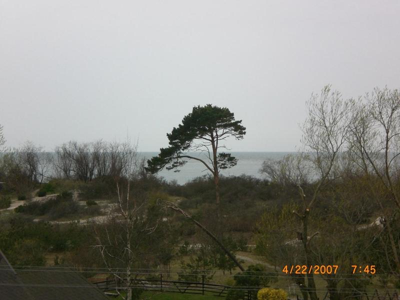 Klaipedarent - image 39