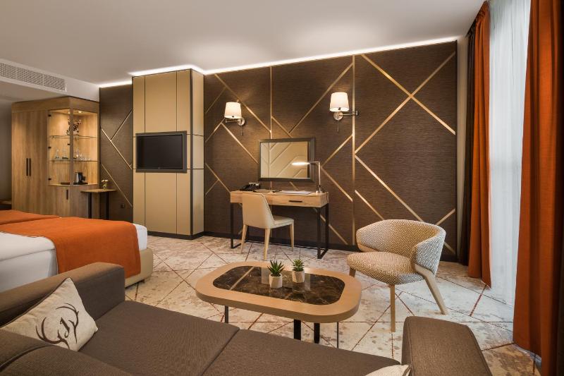 Premium Twin Room image 4