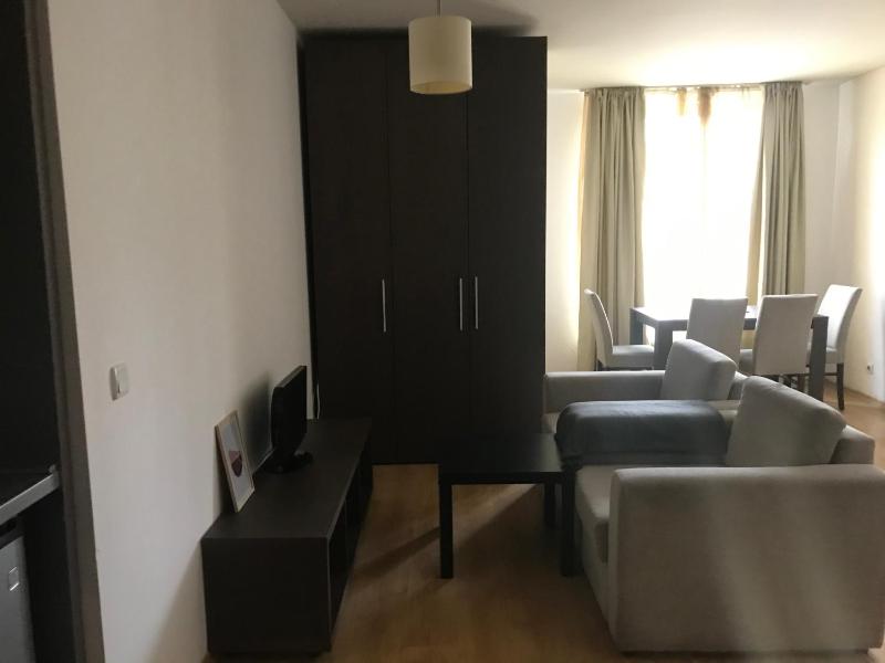 One-Bedroom Apartment image 4