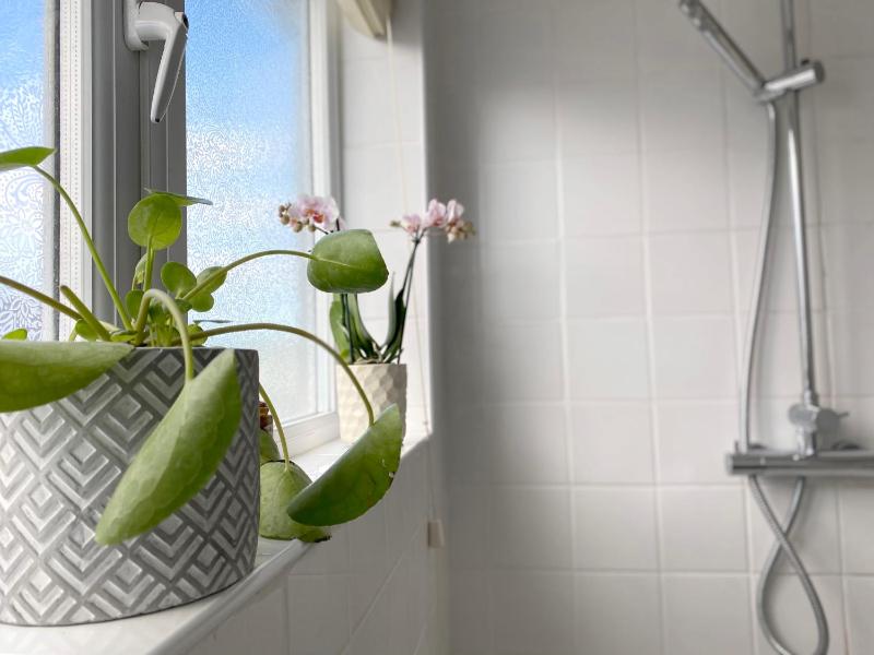 Holiday Home image 1