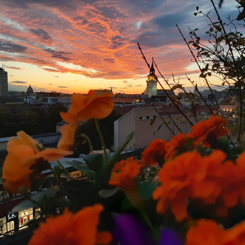 Penthouse Modena - image 10