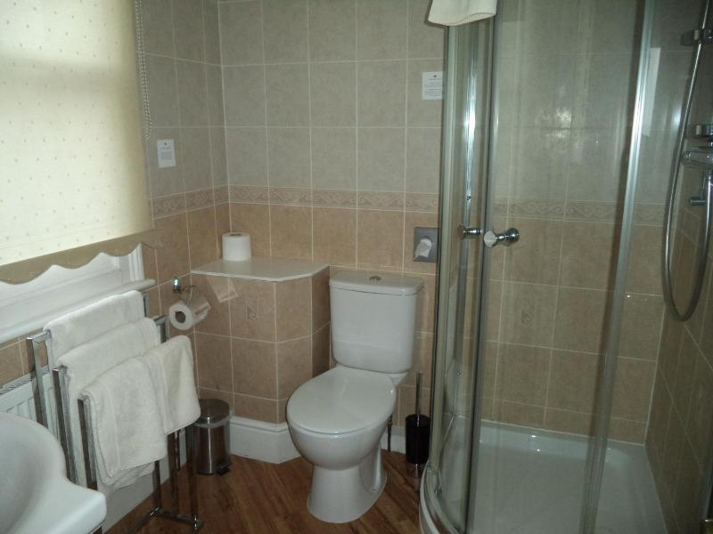 Deluxe Family Room image 3