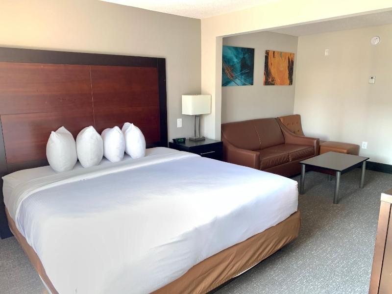 Wingate By Wyndham Atlanta Galleria Center - image 30