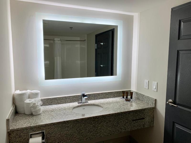 Wingate By Wyndham Atlanta Galleria Center - image 33