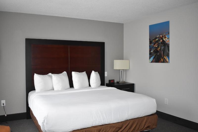 Wingate By Wyndham Atlanta Galleria Center - image 4