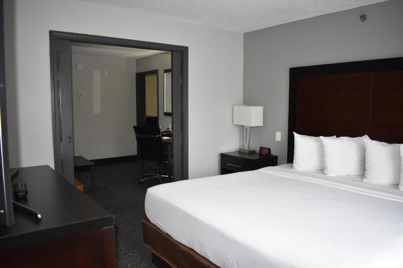 Wingate By Wyndham Atlanta Galleria Center - image 50