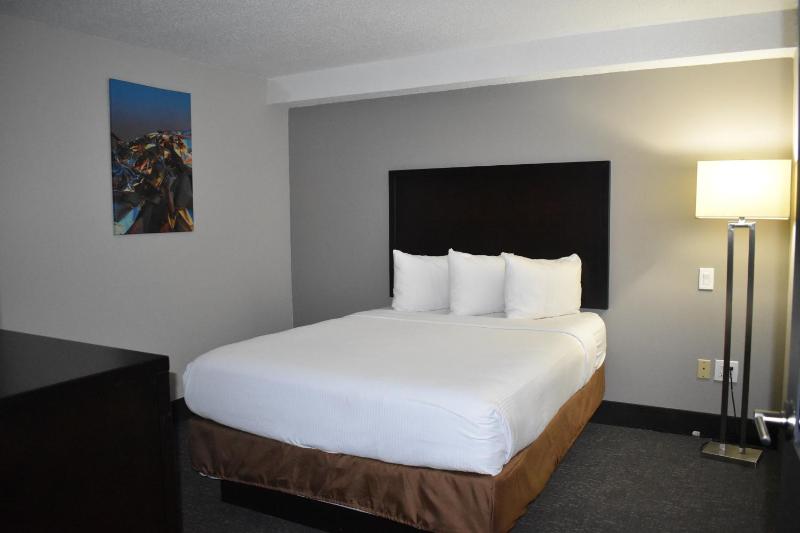 Wingate By Wyndham Atlanta Galleria Center - image 18
