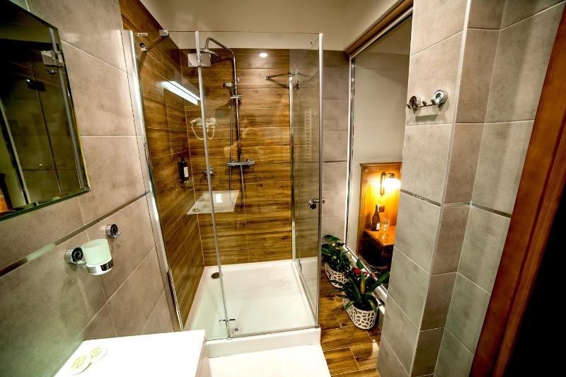 Deluxe Double or Twin Room image 2