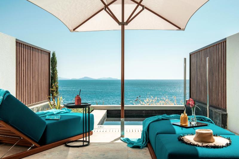 Superior Double Room with Sea View and Plunge Pool image 4