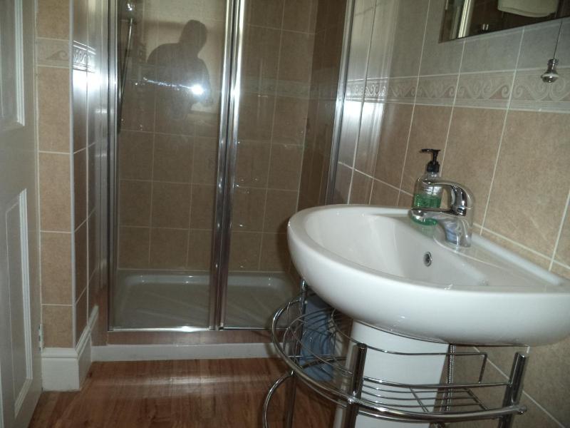 Premium Double Room image 2