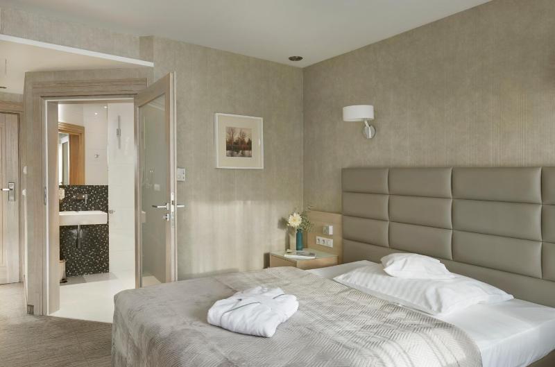 Superior Double or Twin Room image 1
