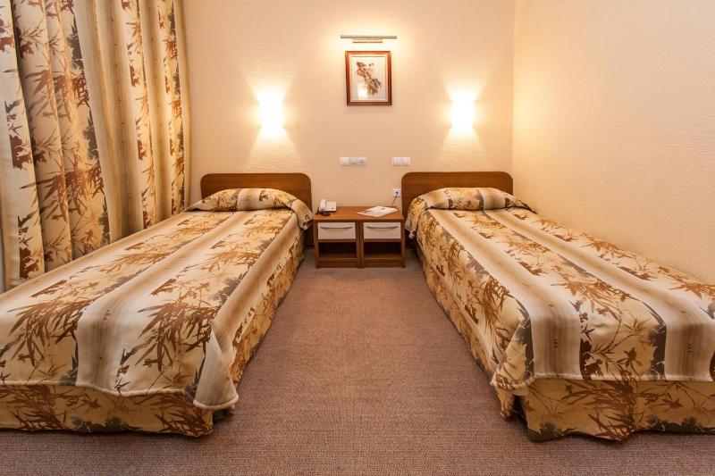 Superior Twin Room image 1