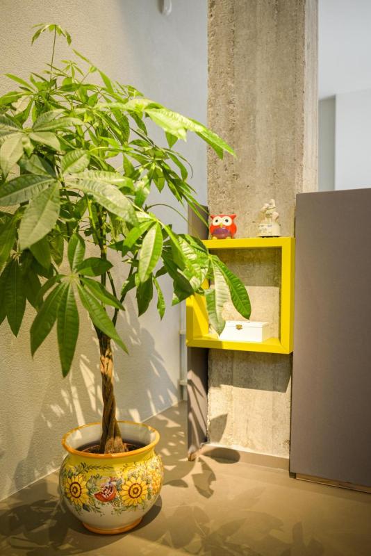 Exclusive Loft Salerno Centro - image 8