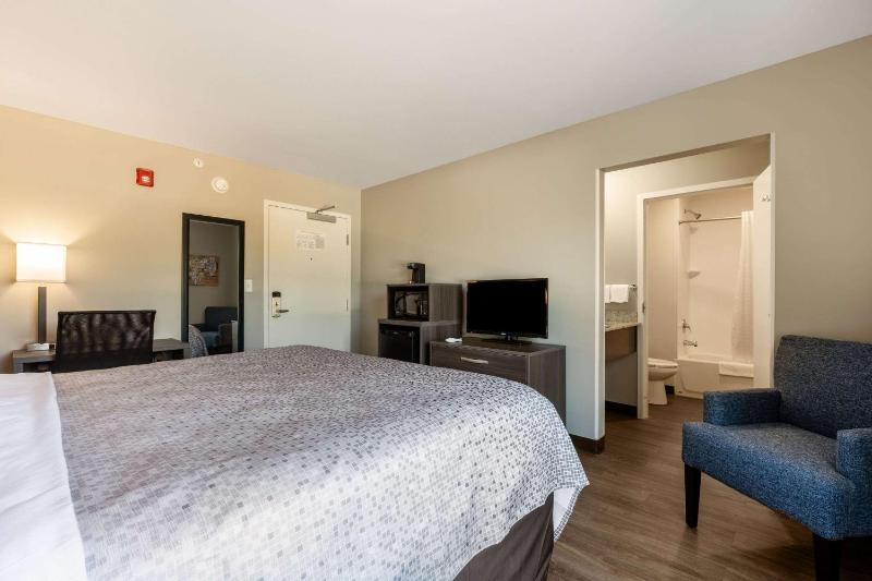 Standard King Room - Non-Smoking  image 3