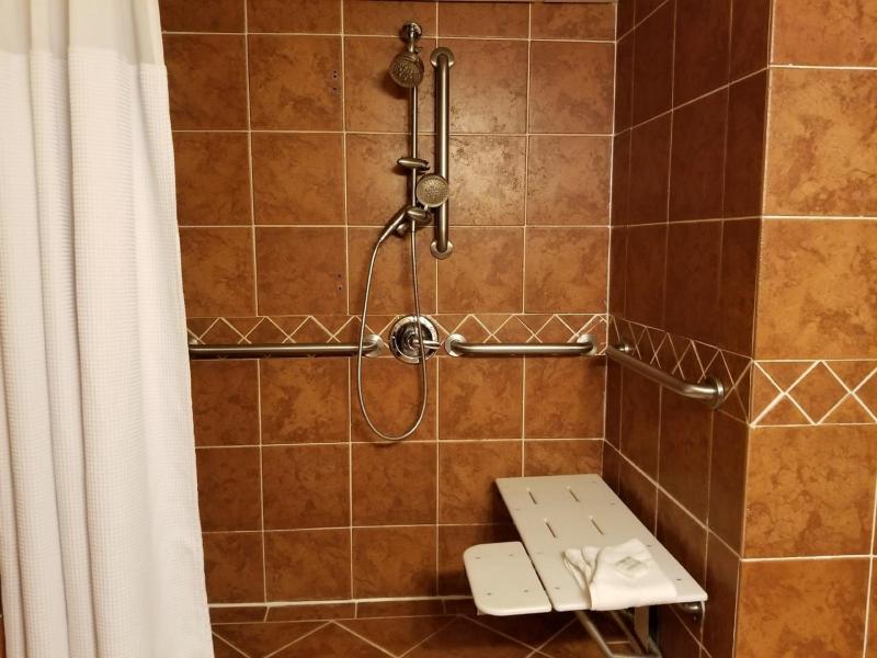 King Room with Roll-In Shower - Mobility Access/Non-Smoking image 2