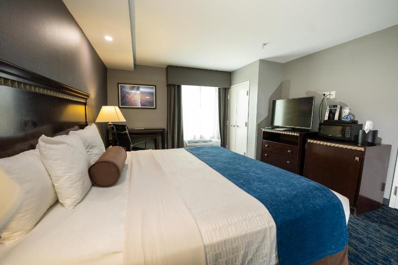One Room Suite - Disability Access/Non Smoking image 3