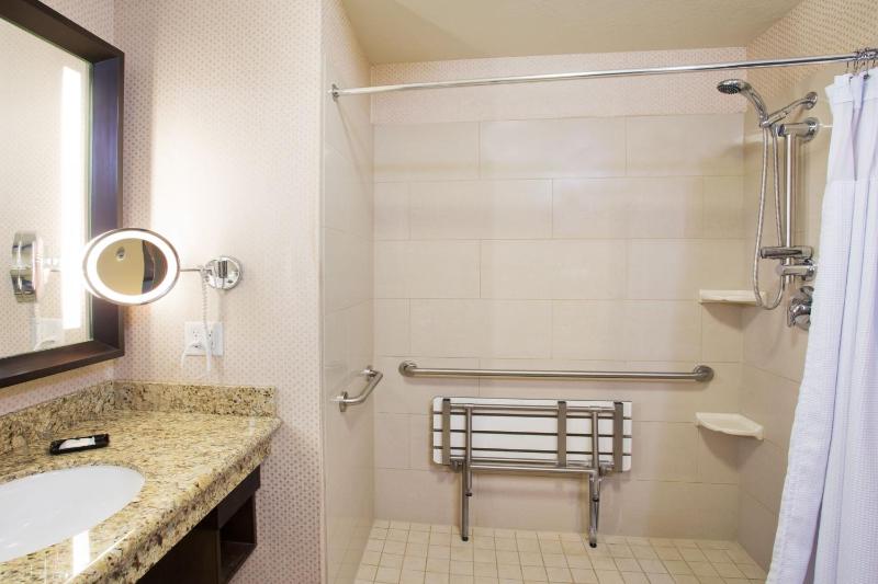King Room - Hearing Accessible - Roll-in Shower image 2