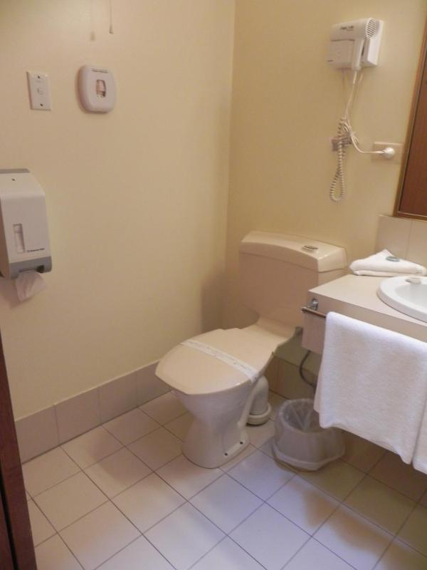 St Georges Motor Inn - image 6