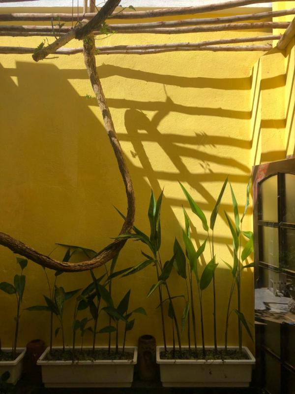 Leranda Homestay - image 8