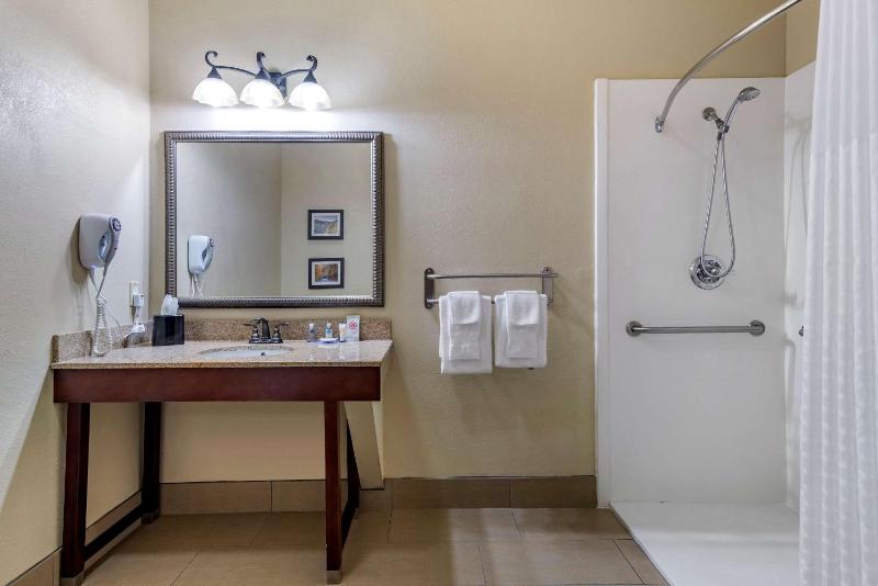 King Room - Accessible/Non-Smoking/Pet Friendly image 2