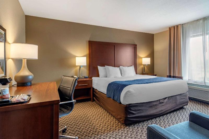 King Room - Accessible/Non-Smoking/Pet Friendly image 4