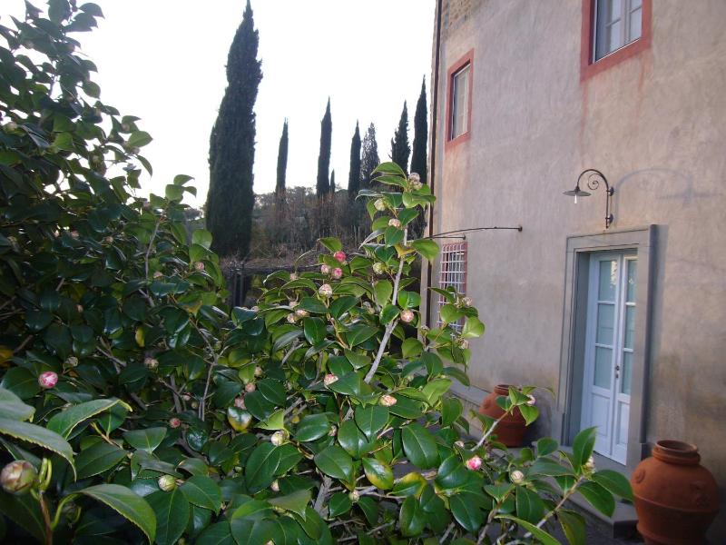 La Vistosa - image 15