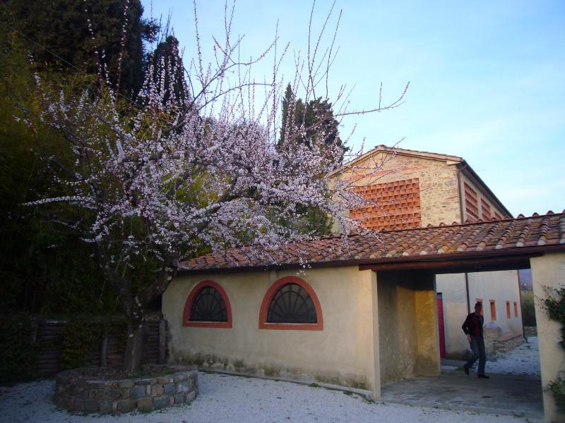 La Vistosa - image 14