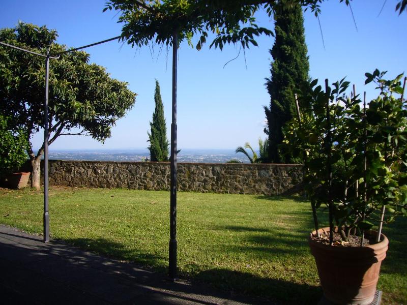 La Vistosa - image 10